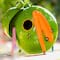 Glitzhome® 9" Metal Glossy Frog Outdoor Garden Birdhouse